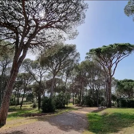 Chez K&d Cocooning, Piscine, Tennis * Saint-Raphael (Var)